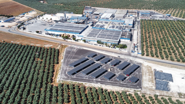 canaldis-agrosevilla-resultados-2025