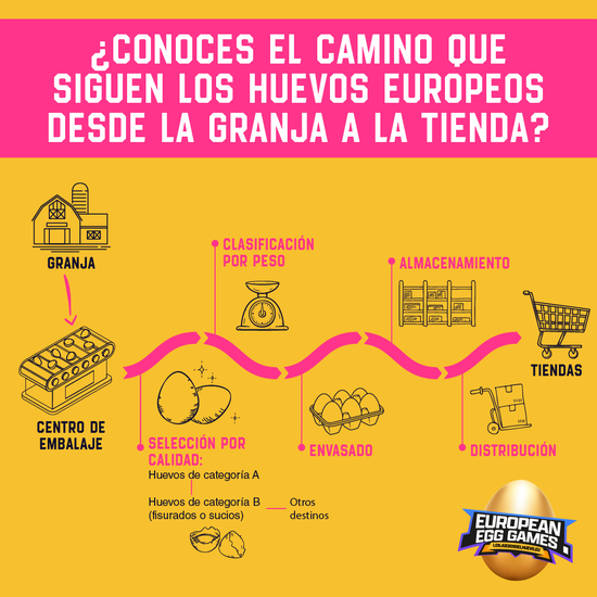 canaldis-inprovo-losjuegosdelhuevo-trazabilidad