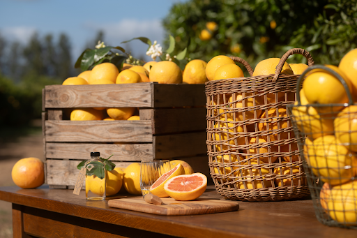 canaldis-cointreau-cocteleria