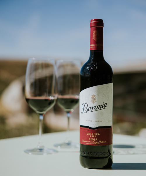 canaldis-beronia-nueva-imagen