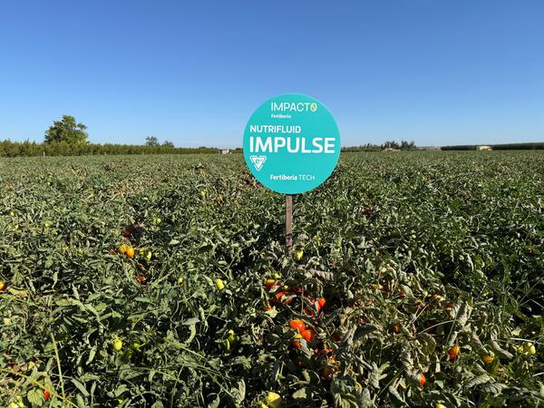 canaldis-fertiberia-grupoconesa-agraz