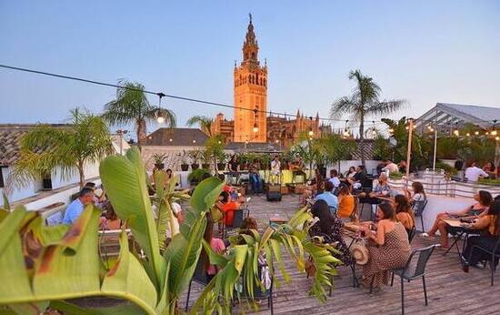 canaldis-ginmg-pura-vida-terraza
