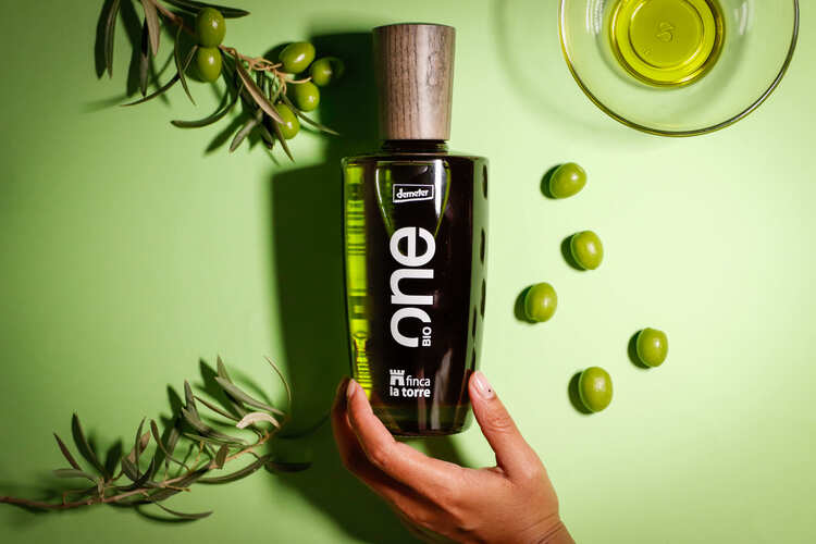 canaldis-fincalatorre-cosecha-aceite