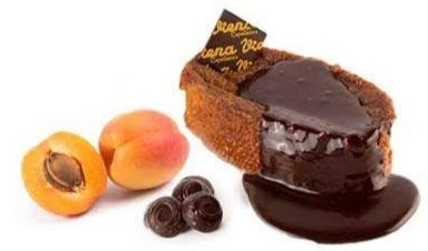 canaldis-vc-torrija-sacher