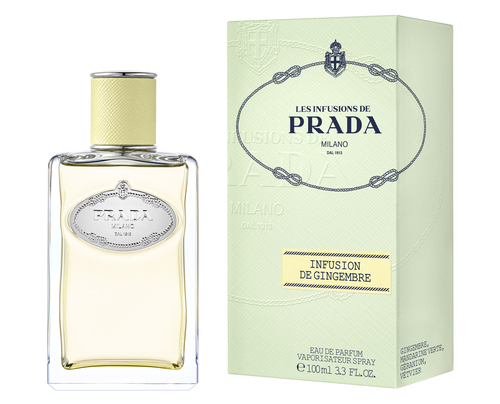 canaldis-prada-lesinfusions-gingembre