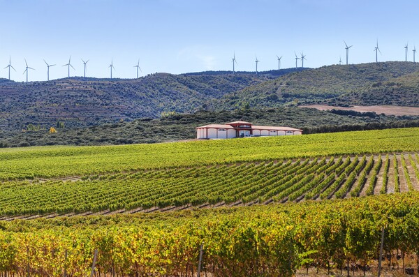 canaldis-grupo-baron-de-ley-finca-carbonera