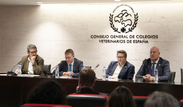 canaldis-gis-conclusiones-jornada