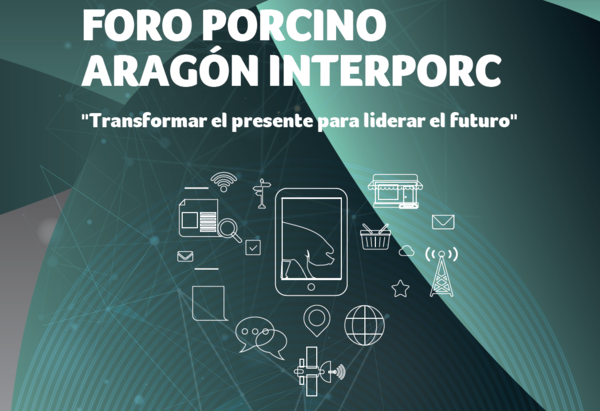 canaldis-interporc-foto-porcino