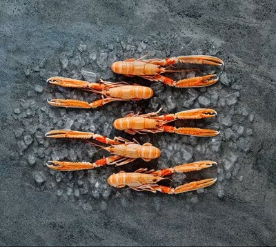 canaldis-mar-de-noruega-cigalas