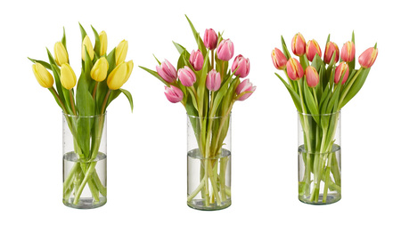 canaldis-lidl-tulipanes
