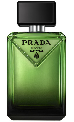 canaldis-loreal-prada-novedad-paradigme-tomhollad-frasco