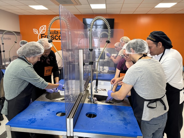 canaldis-mercalicante-formacion