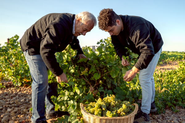 canaldis-bodegacuatrorayas-90-aniversario-premios-covios-viticultores