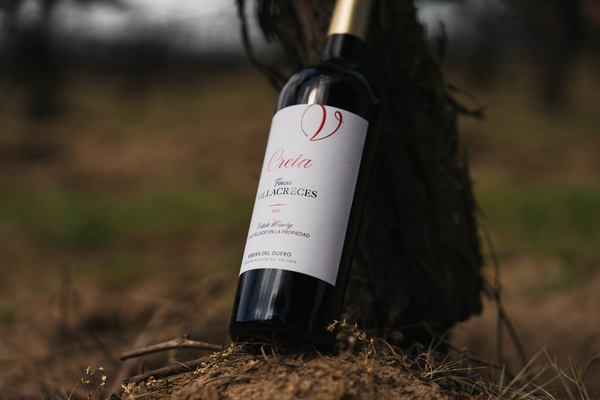 canaldis-finca-villacreces-creta-2022