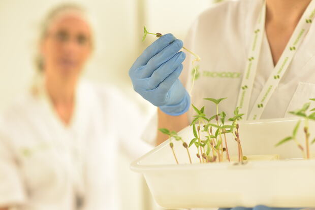 canaldis-fertiberia-trichodex