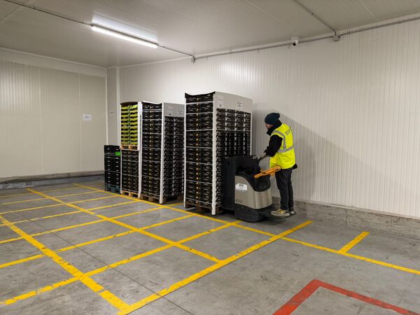 canaldis-montosa-nuevo-almacen-francia