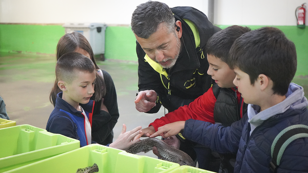 canaldis-vegalsa-eroski-capitan-mareas-autoserviciosfamilia-rula