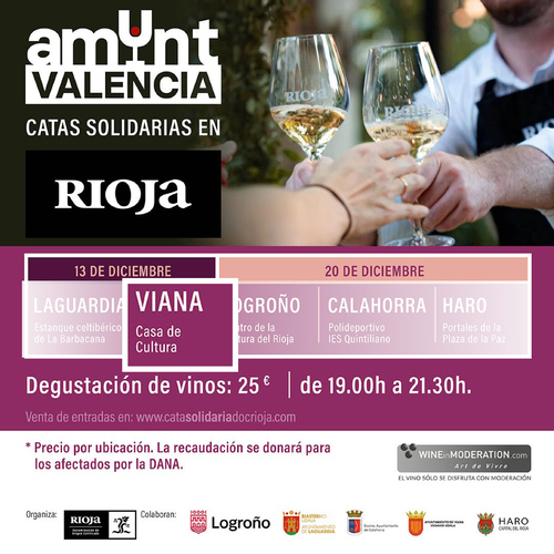 canaldis-docarioja-catassolidarias-valencia-dana-amuntvalencia-viana