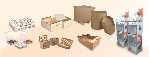 canaldis-dssmith-FA-soluciones-sector-hortofruticola-packaging
