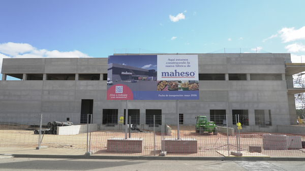 canaldis-maheso-planta-soria