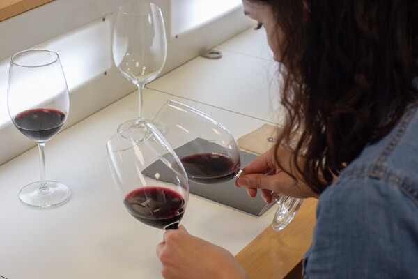 canaldis-bodegasluzon-vendimia-abierta