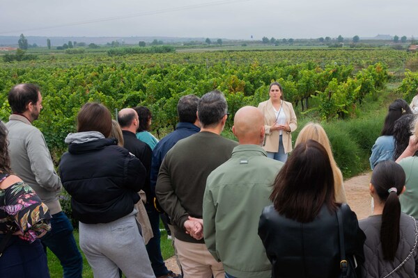 canaldis-bodegasluzon-vendimia-abierta