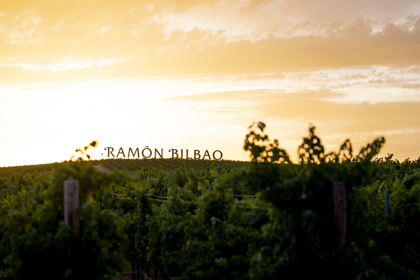 canaldis-zamorazompany-ramonbilbao