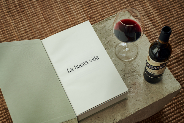 canaldis-lopez-de-haro-manual-buena-vida