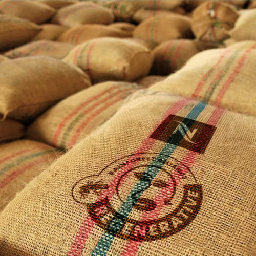 canaldis-nespresso-cafe-regenerativo