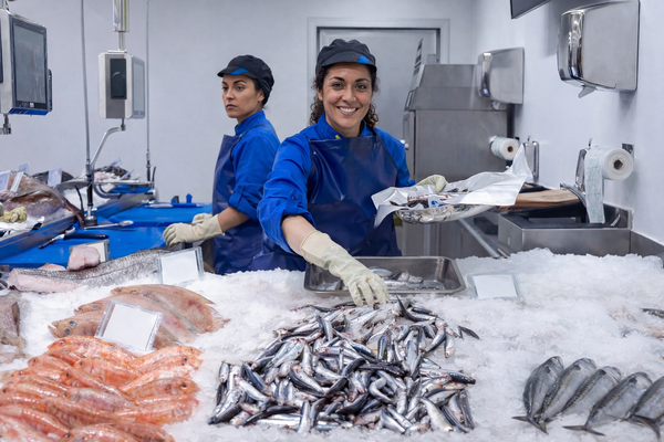 canaldis-bmsupermercados-anchoa-cantabrico