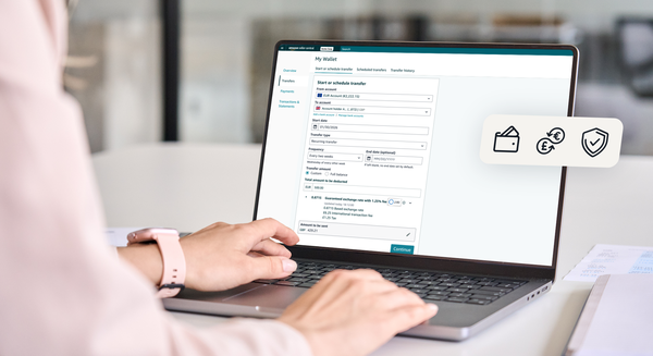 canaldis-amazon-lanzamiento-seller-wallet