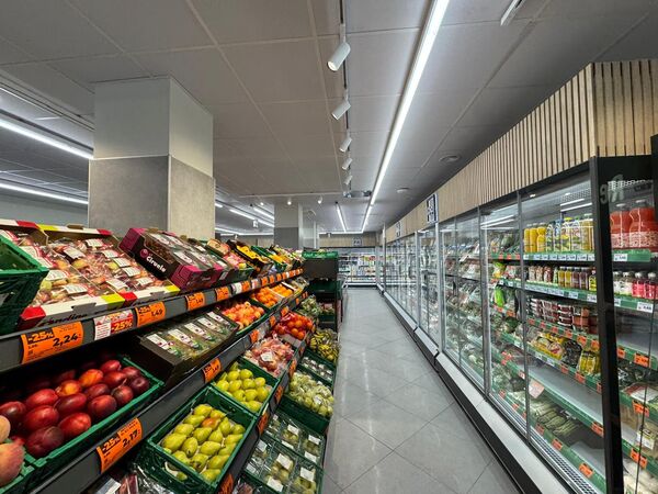 canaldis-dia-apertura-burgos