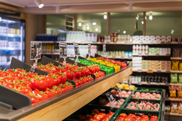 canaldis-ametller-origen-viver