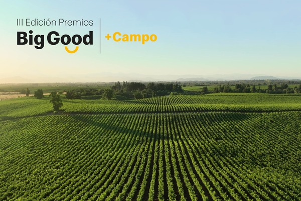canaldis-mc-donalds-premios-big-good
